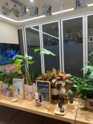 -dōTERRA多特瑞精油生活馆