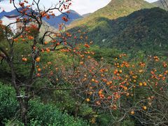 -天姥山