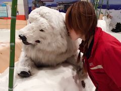 -绍兴启迪乔波冰雪世界