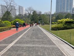 -龙头寺公园