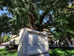 -北京石刻艺术博物馆(五塔寺)