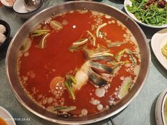 -新凯里酸汤鱼(飞山街店)
