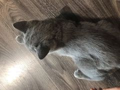 -第三空间·趣味桌游·轰趴.室内CS.剧本杀(大武汉1911店)