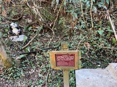 -夏霖九天银瀑风景区