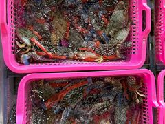 -青澳湾北回归线广场
