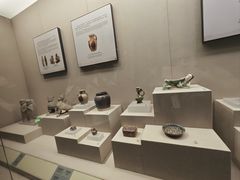 -合肥大剧院