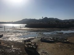 -青岛沙子口国家中心渔港