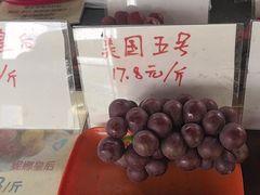 -马陆小张葡萄园农家乐