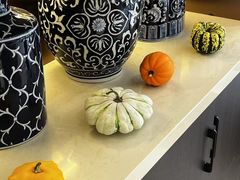 -植物学家的女儿(北马道巷店)