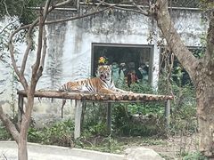 -成都动物园