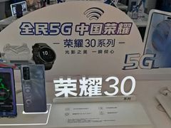 -荣耀授权专卖店(黄浦浙江中路店)
