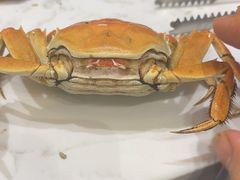 -半岛听涛蒸汽海鲜自助(K11店)