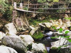 -天台山景区