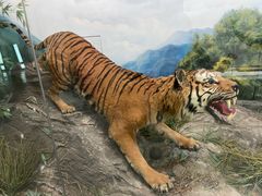 -国家自然博物馆