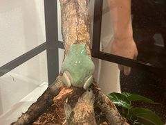 -上海昆虫博物馆