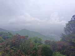 -梧桐山风景名胜区