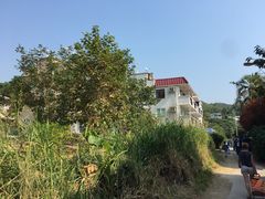 -南丫岛