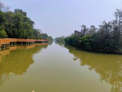 -大湾区中央湿地公园