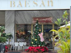 -813芭依珊 BAESAn(1983小镇店)
