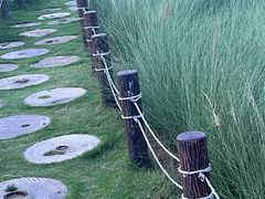 -红花山公园