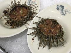 海胆-海鼎荟海鲜姿造(仟禧汇店)