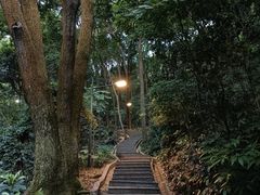 -广州市白云山风景名胜区