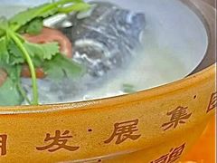 -全乐鱼馆·淳牌有机鱼直营店