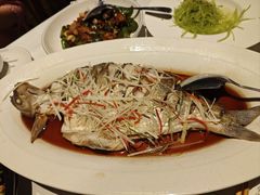 -原鄉本味 楚菜 丹江口鱼(北苑店)