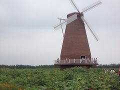 漩门湾国家湿地公园-漩门湾国家湿地公园