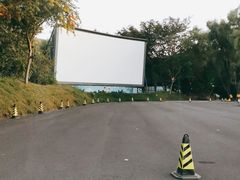-枫花园汽车电影院(朝阳公园店)