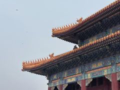 -故宫博物院(故宫)