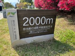 -三垟湿地