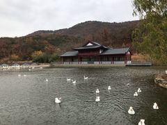 -横山寺