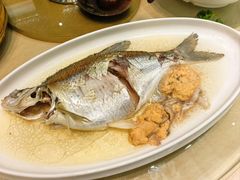 北江边鱼-小北江河鲜(新城店)