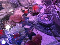 -沈阳海洋探索中心