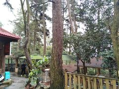 -生态园山庄(森林公园店)