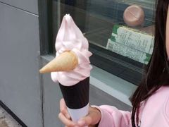 -麦丽丝红油辣椒冰淇淋(江家巷店)