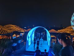 -鸿恩陶然大观园