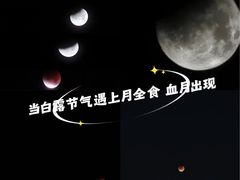 -羊山湖公园