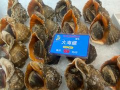 -宝轩渔府·老字号海鲜·正宗津菜(水上店)