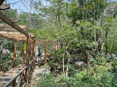 -大岭沟猕猴桃谷风景区