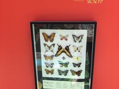 -LuOne凯德晶萃广场(徐家汇路店)