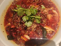 -辛香汇·现炒川菜(城北万象城店)