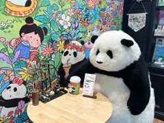 -轩客会(熊猫书店)