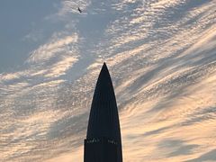 -深圳湾公园(南山区)
