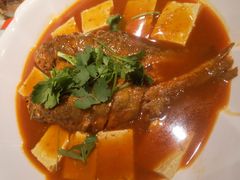 黄鱼烧豆腐-楼兰古丽·新疆拌面·清真(华阳城店)