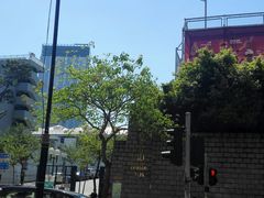 -九龙公园