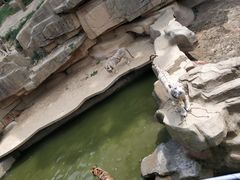 -无锡动物园·太湖欢乐园
