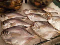 -岷山饭店-芝芝自助餐厅