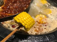 -杨家火锅(国美店)
